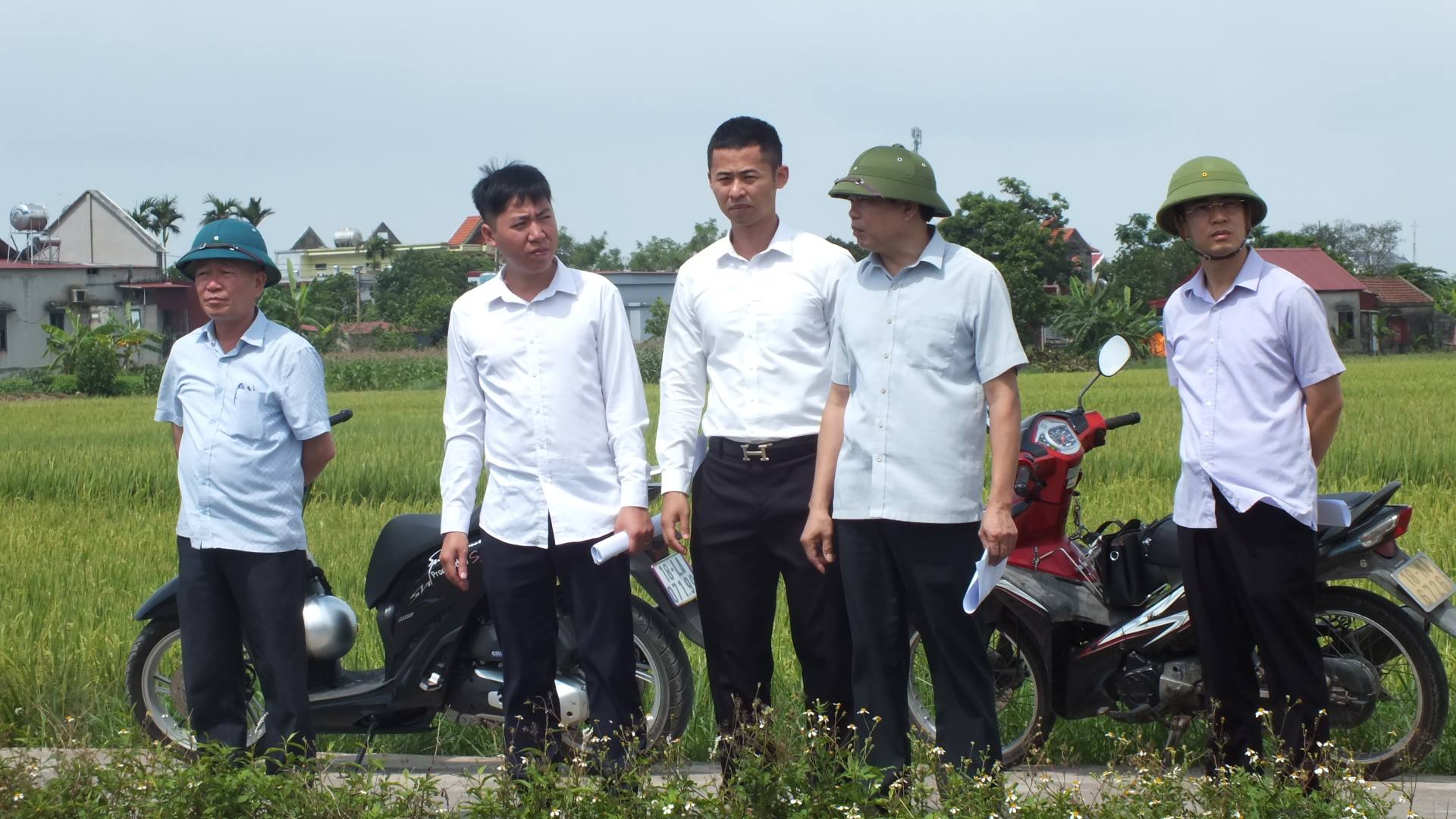 anh tin bai